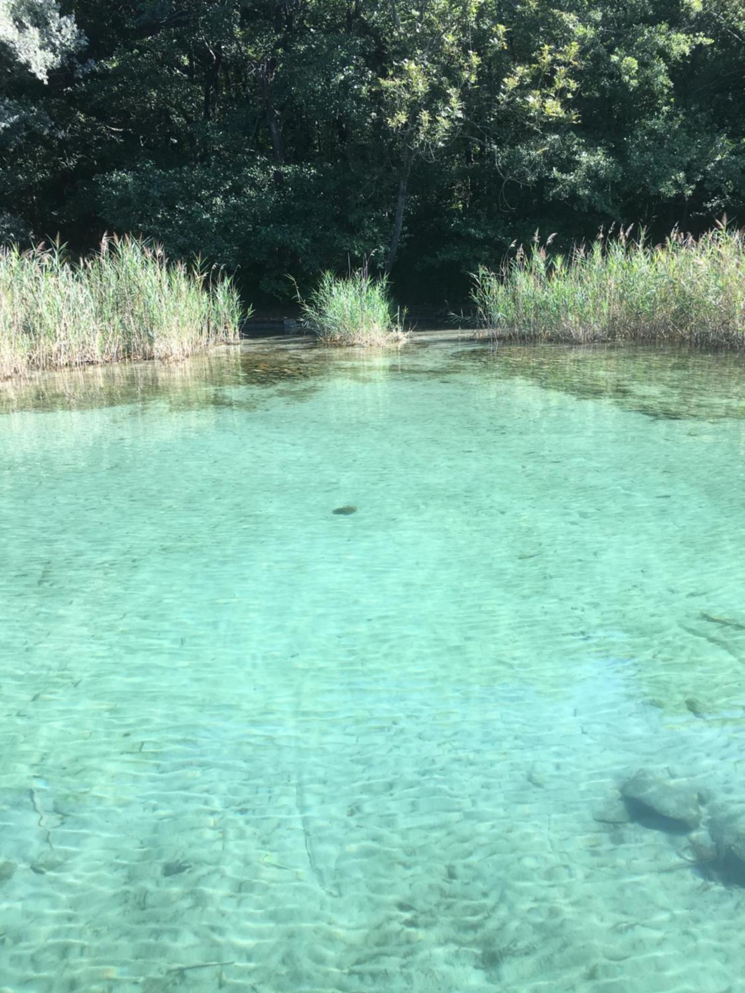 -Ortaflats- Appartamento L'Isola Orta San Giulio Zewnętrze zdjęcie